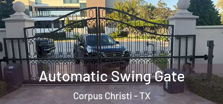 Automatic Swing Gate Corpus Christi - TX