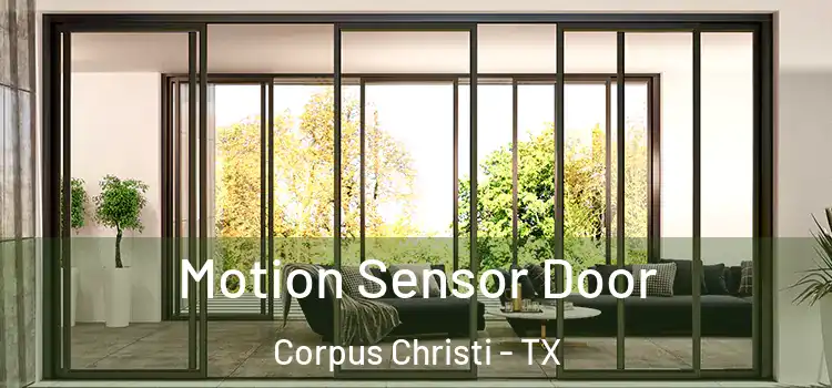 Motion Sensor Door Corpus Christi - TX