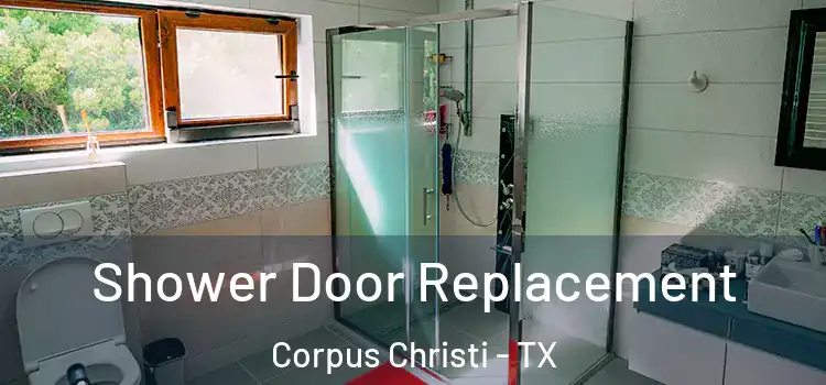 Shower Door Replacement Corpus Christi - TX